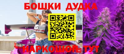 крисы Свободный