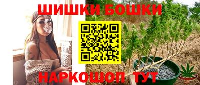 крисы Свободный