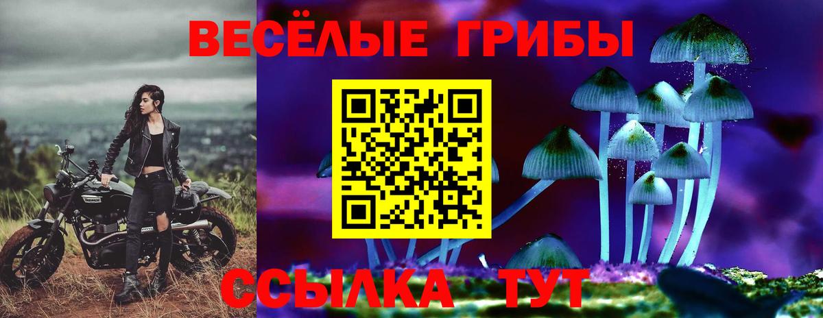 Галлюциногенные грибы мухоморы  Галлюциногенные грибы GOLDEN TEACHER  Саяногорск  Вход с VPN 